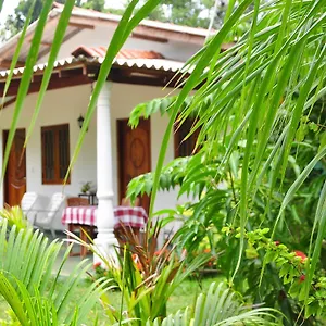  Bed & Breakfast Amenity Sri Lanka